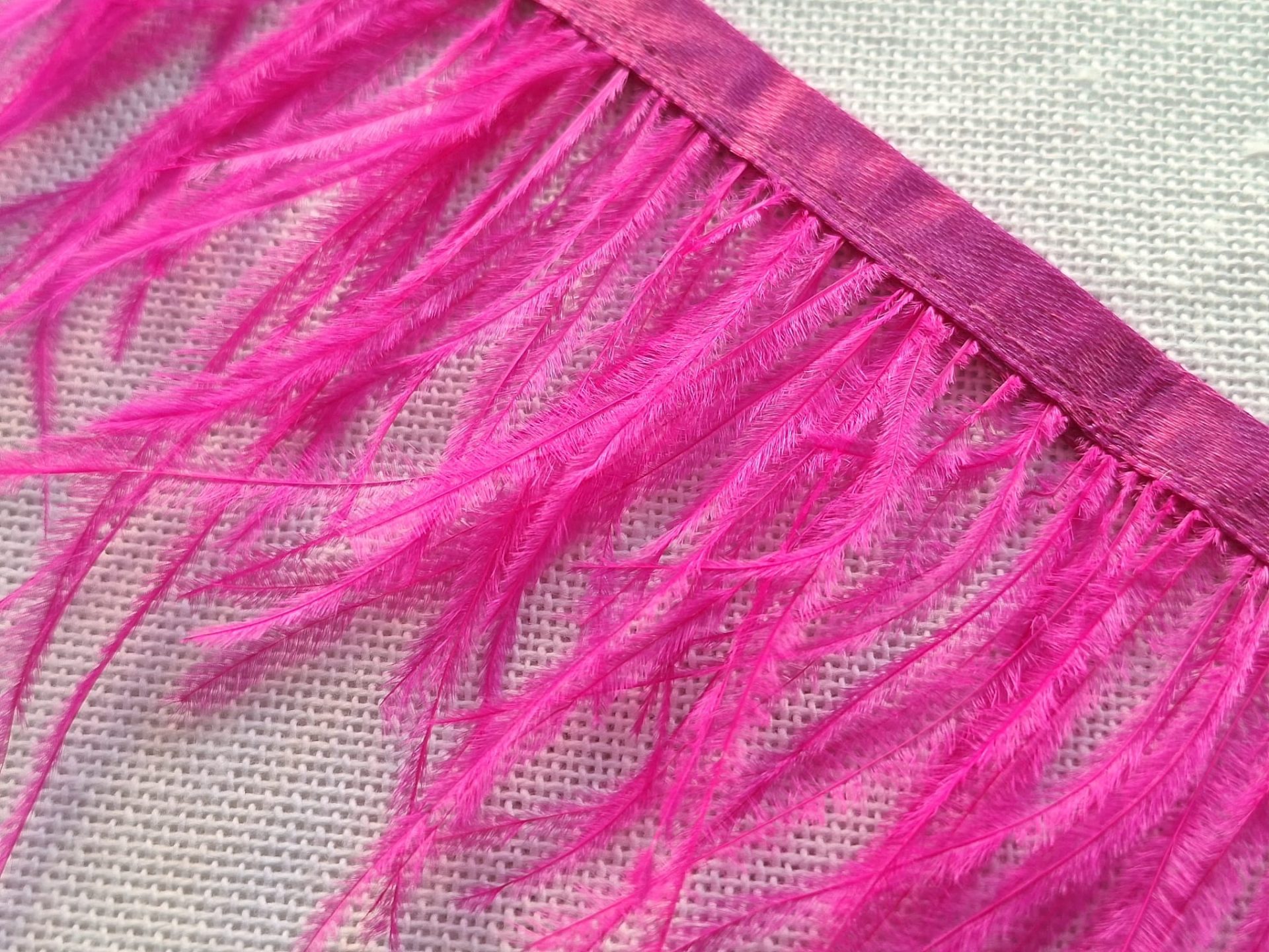 183868ec e4d3 4a76 b5f0 ce217196eb70 Plumas Avestruz Ostrich - Imagen 22