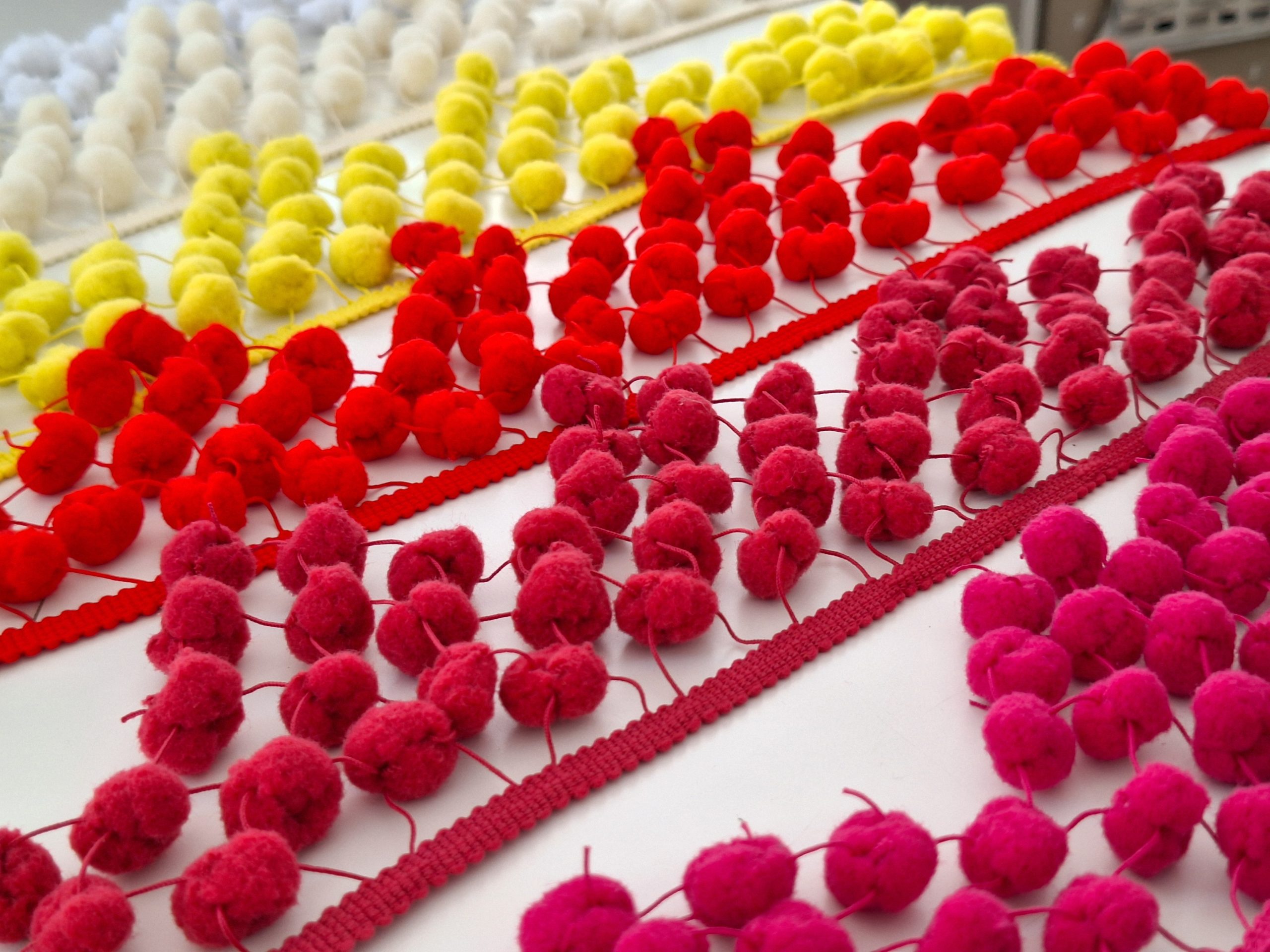 20240409 161509 scaled Madroños de rejilla